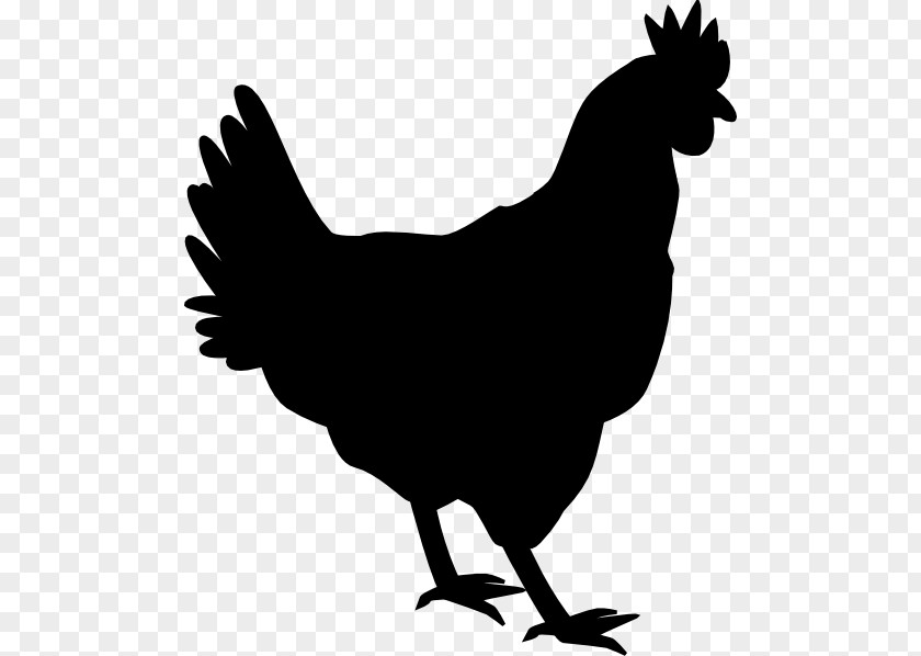Silhouette Silkie Shamo Chickens Drawing Clip Art PNG