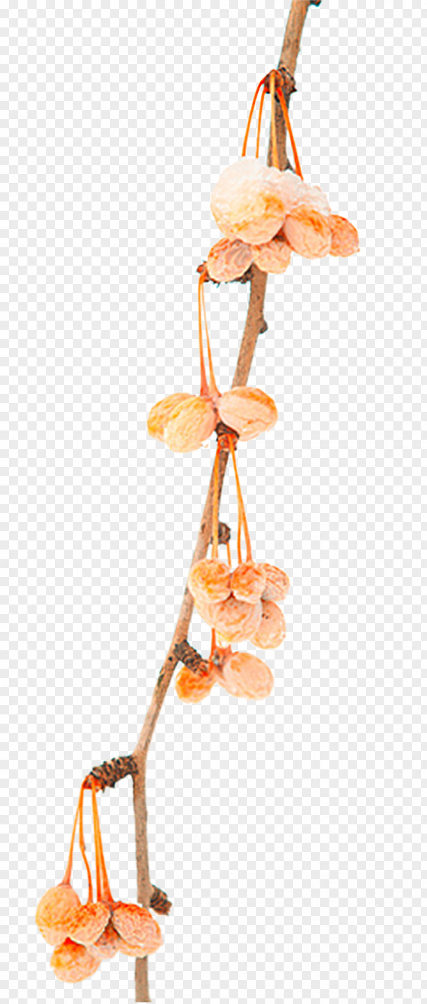 A Snow-covered Withered Ginkgo Fruit Download PNG