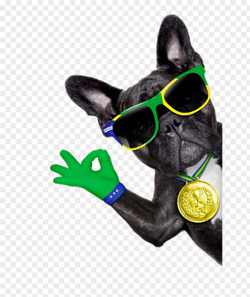Dog With Sunglasses French Bulldog Puppy Stock Photography Royalty-free PNG