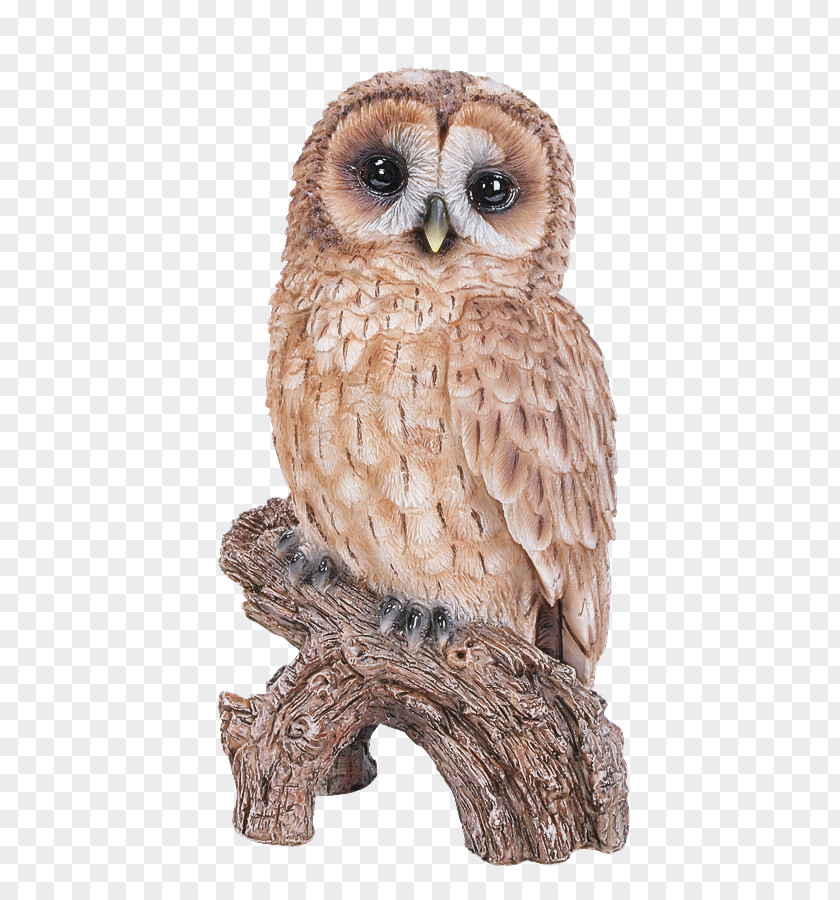 Eastern Screech Owl Bird Of Prey Animal Figure Barn PNG