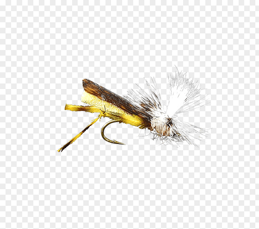 Fly Artificial Hackles Insect Holly Flies PNG