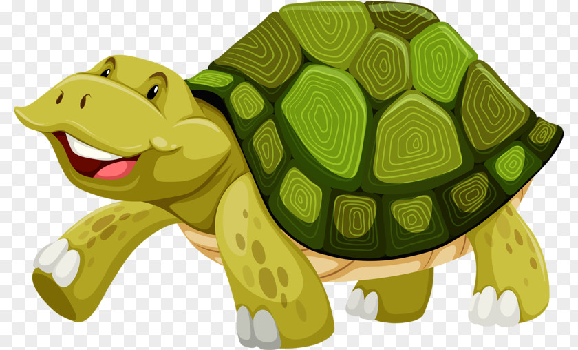 Happy Little Turtle Shell Illustration PNG