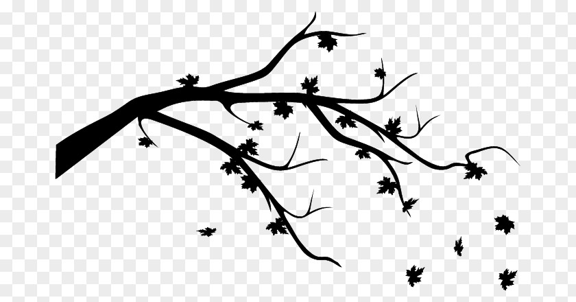 Leaf Twig Autumn Color I Am Missing You PNG