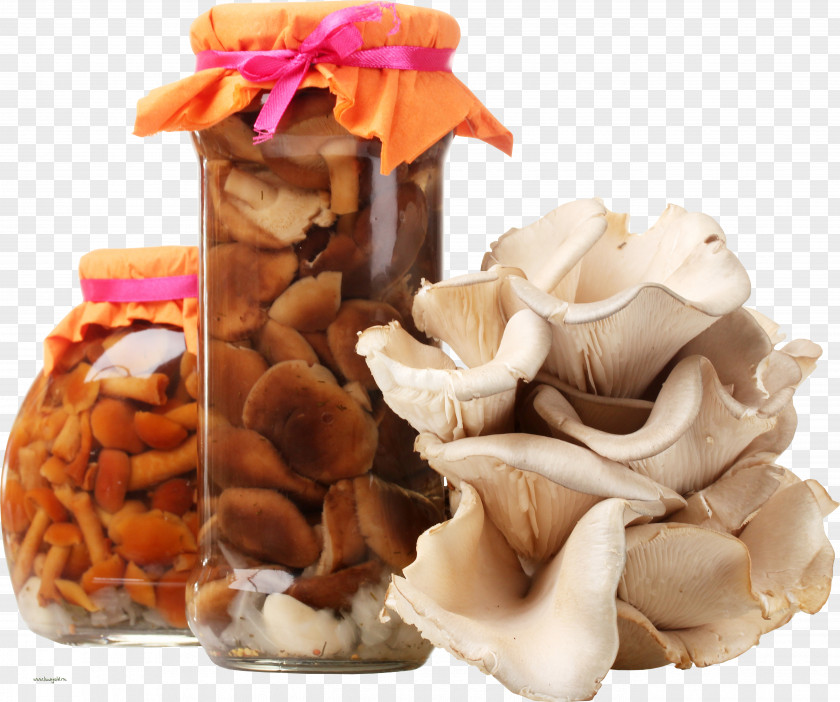 Mushroom Edible Snow Fungus Food PNG
