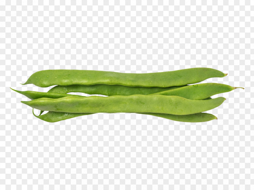 Vegetable Green Bean Food Common PNG