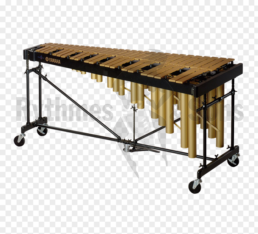 Xylophone Marimba Vibraphone Metallophone Percussion PNG
