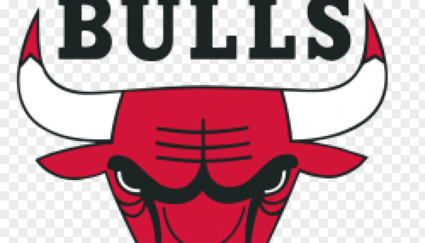 Baseball Cap Chicago Bulls 2007 NBA Playoffs 2006–07 Season 2011 Windy City PNG