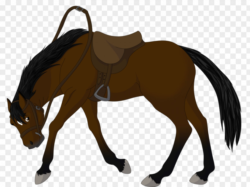 Bucking Horse Pictures Mustang Miles City Sale Stallion Clip Art PNG