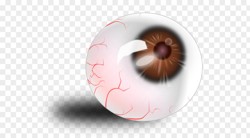 Cartoon Eyeball Human Eye Clip Art PNG
