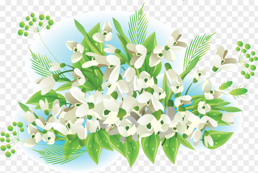 Crocus Snowdrop Flower Spring Information PNG