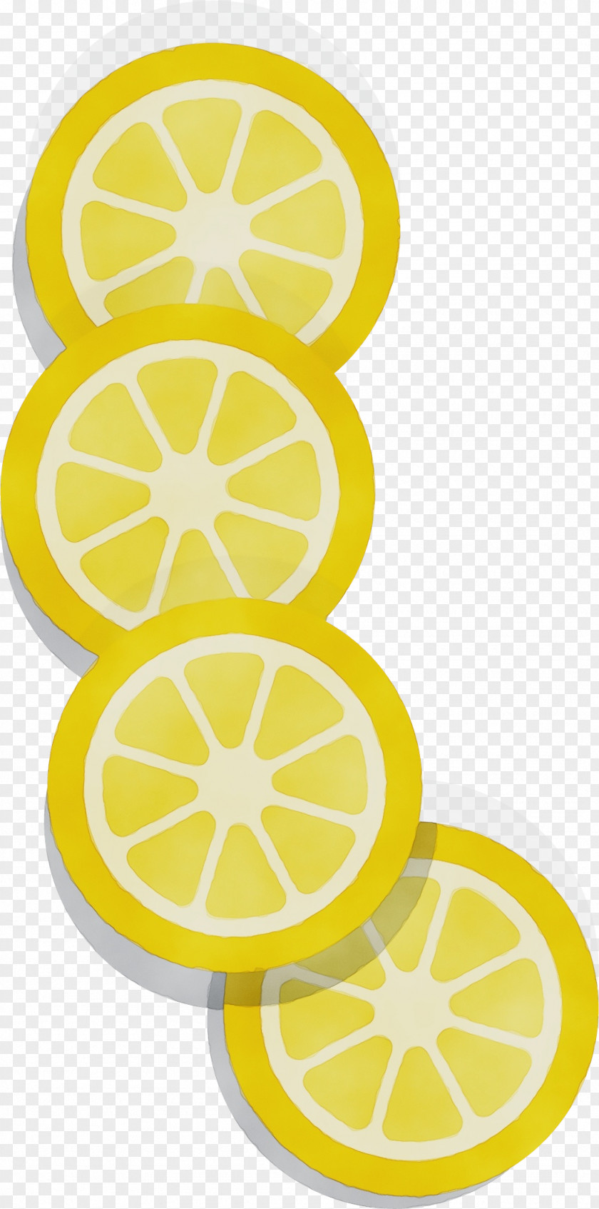 Plant Fruit Yellow Lemon Citrus Clip Art PNG