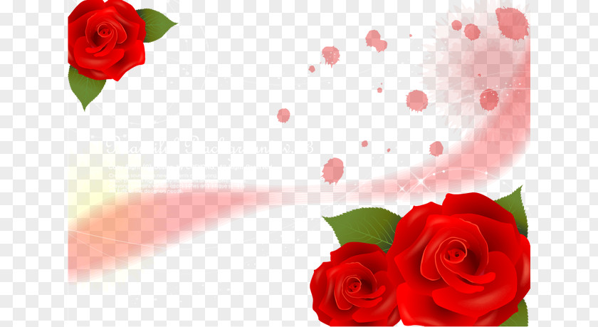 Rose Background Vector Material Garden Roses Beach Red PNG