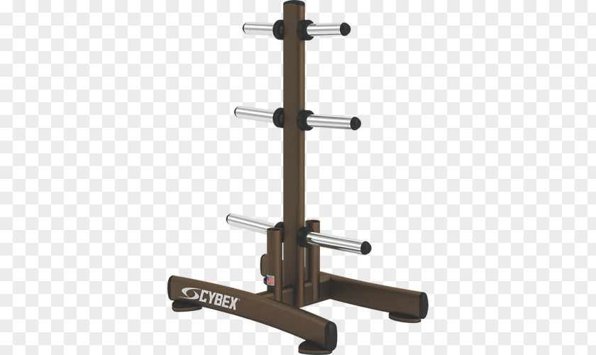 Weight Rack Training Power Bench Physical Fitness Plate PNG