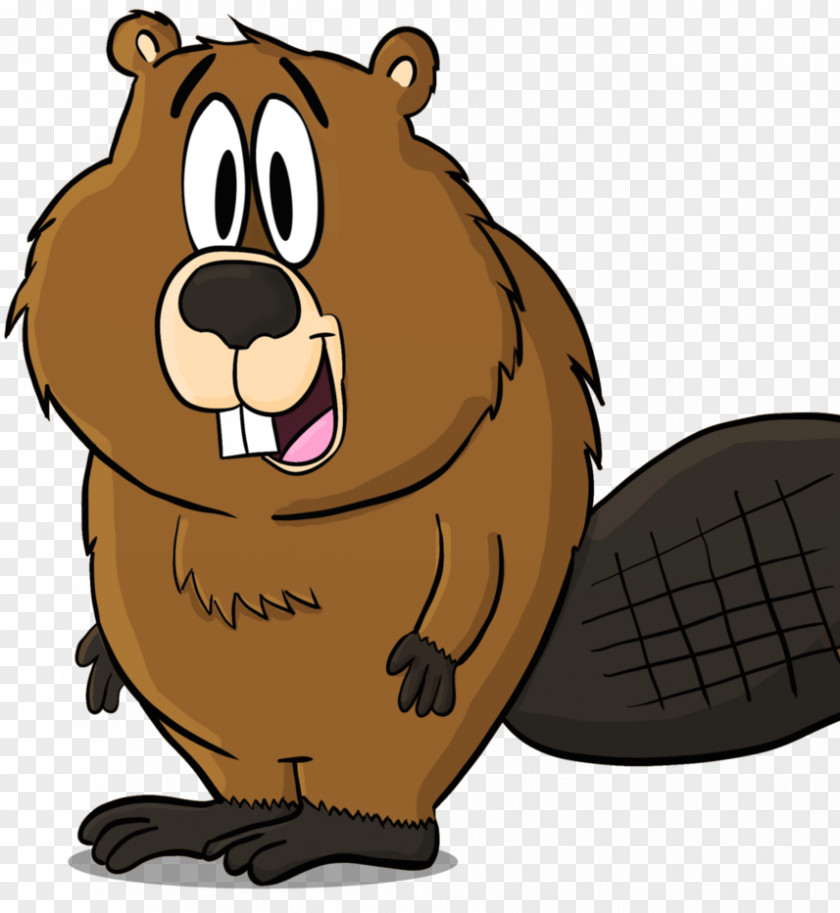 Beaver Cartoon Clip Art PNG