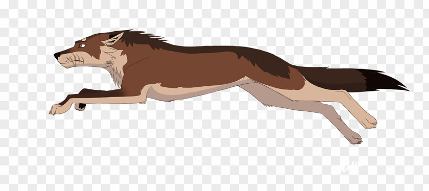 Cartoon Wolf Dog Pack Animation Lion Drawing PNG