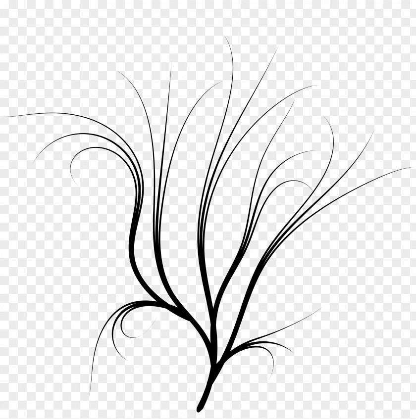 Dal Twig White Grasses Leaf Clip Art PNG