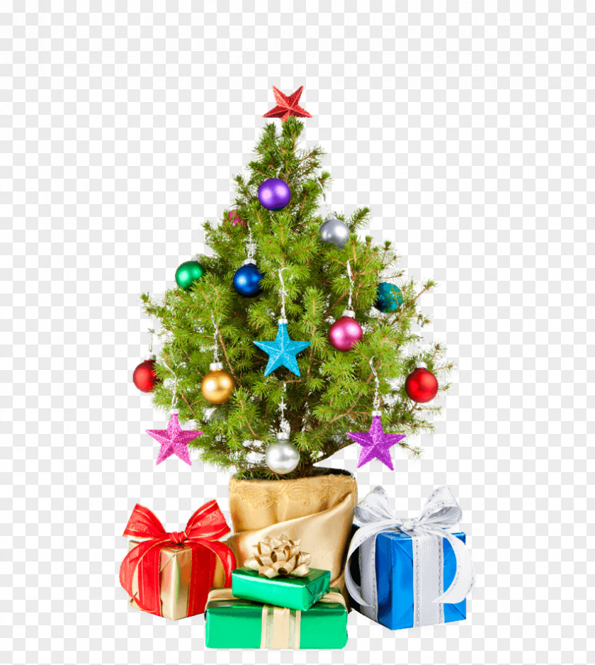 Interior Design Fir Christmas Tree PNG