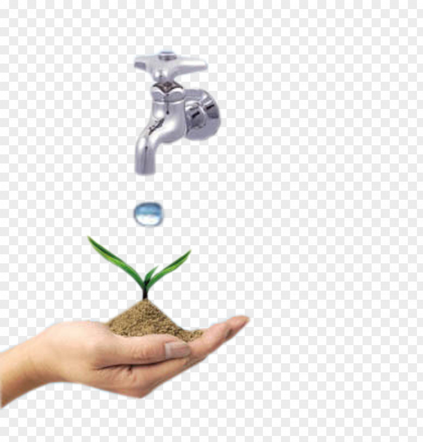 Seedlings Save Water Droplets Illustration Environmental Protection Natural Environment Conservation PNG