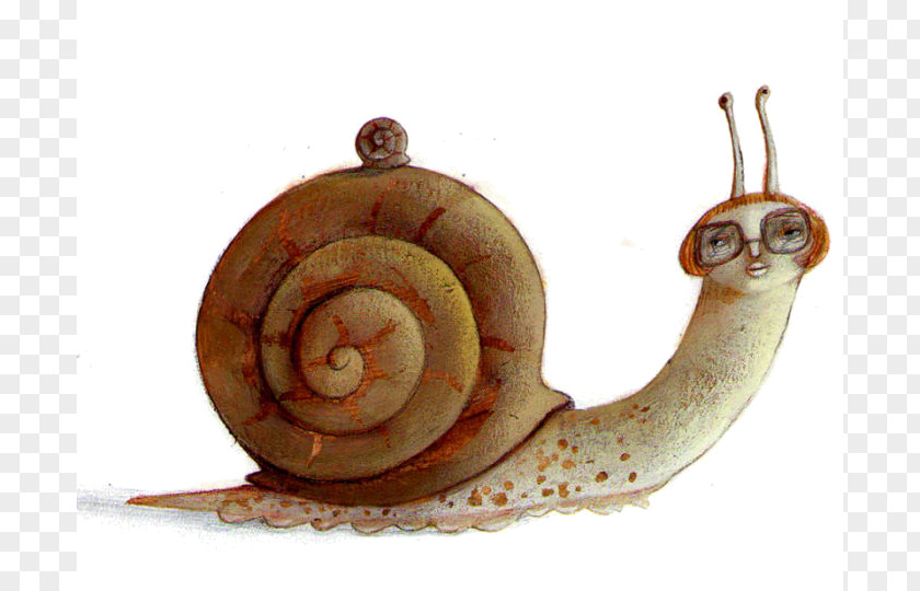 Snail Land Escargot Sea Art PNG