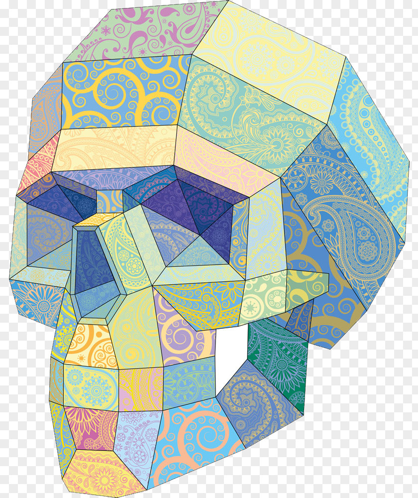 Vector Three-dimensional Skeleton Skull Euclidean Space PNG