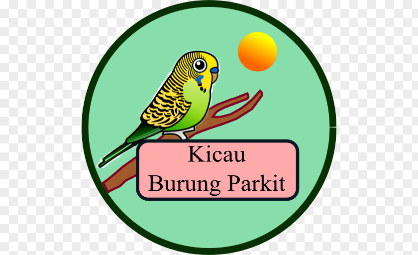 Alexander Parkit Budgerigar Clip Art Parakeet Logo Beak PNG