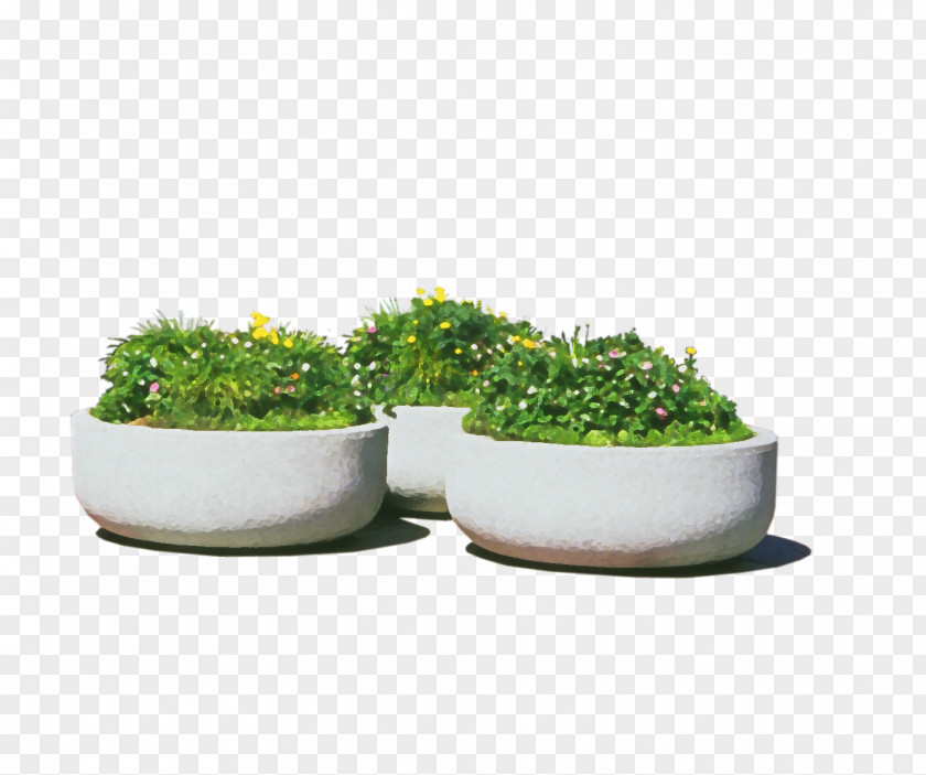 Circular Flower Bed Huatan PNG