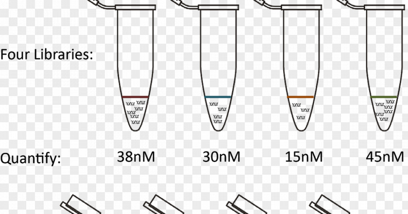 Dna Core Paper /m/02csf Clothing Accessories Drawing PNG