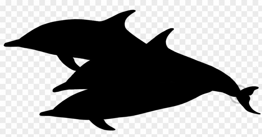 Dolphin Porpoise Whales Clip Art Fauna PNG