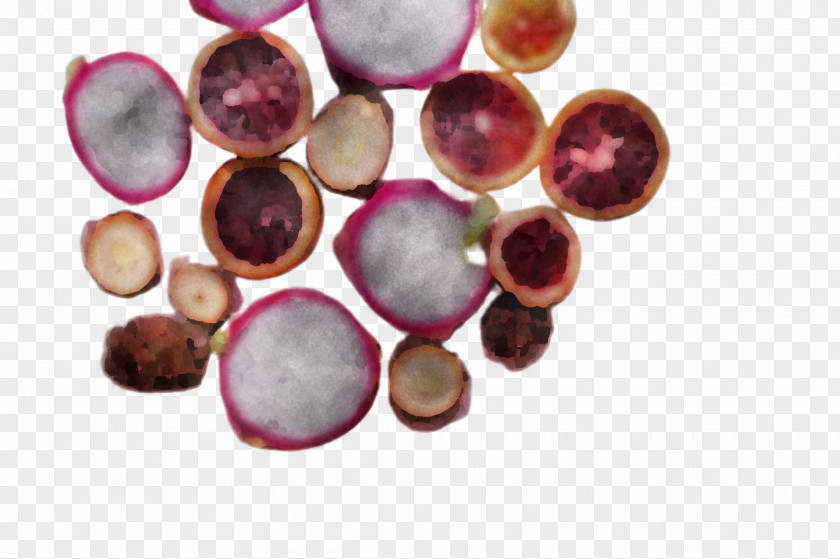 Gemstone Plant PNG