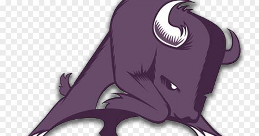 High School Football Logos W Sunset National Secondary W. H. Adamson Bison PNG