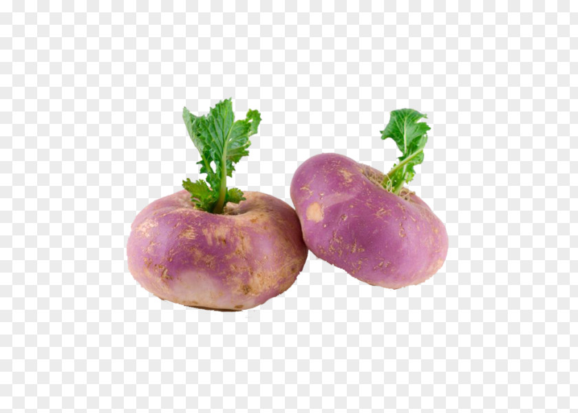 Turniphd Turnip Cruciferous Vegetables Nutrition Root PNG