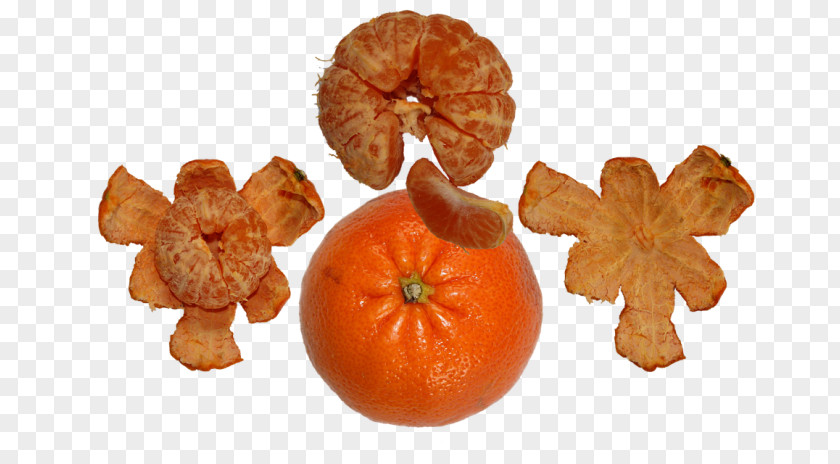 Clementine Tangerine Mandarin Orange Tangelo Bitter PNG