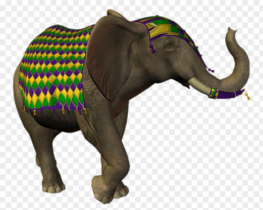 Fy Indian Elephant African Elephantidae Ganesha Animal PNG