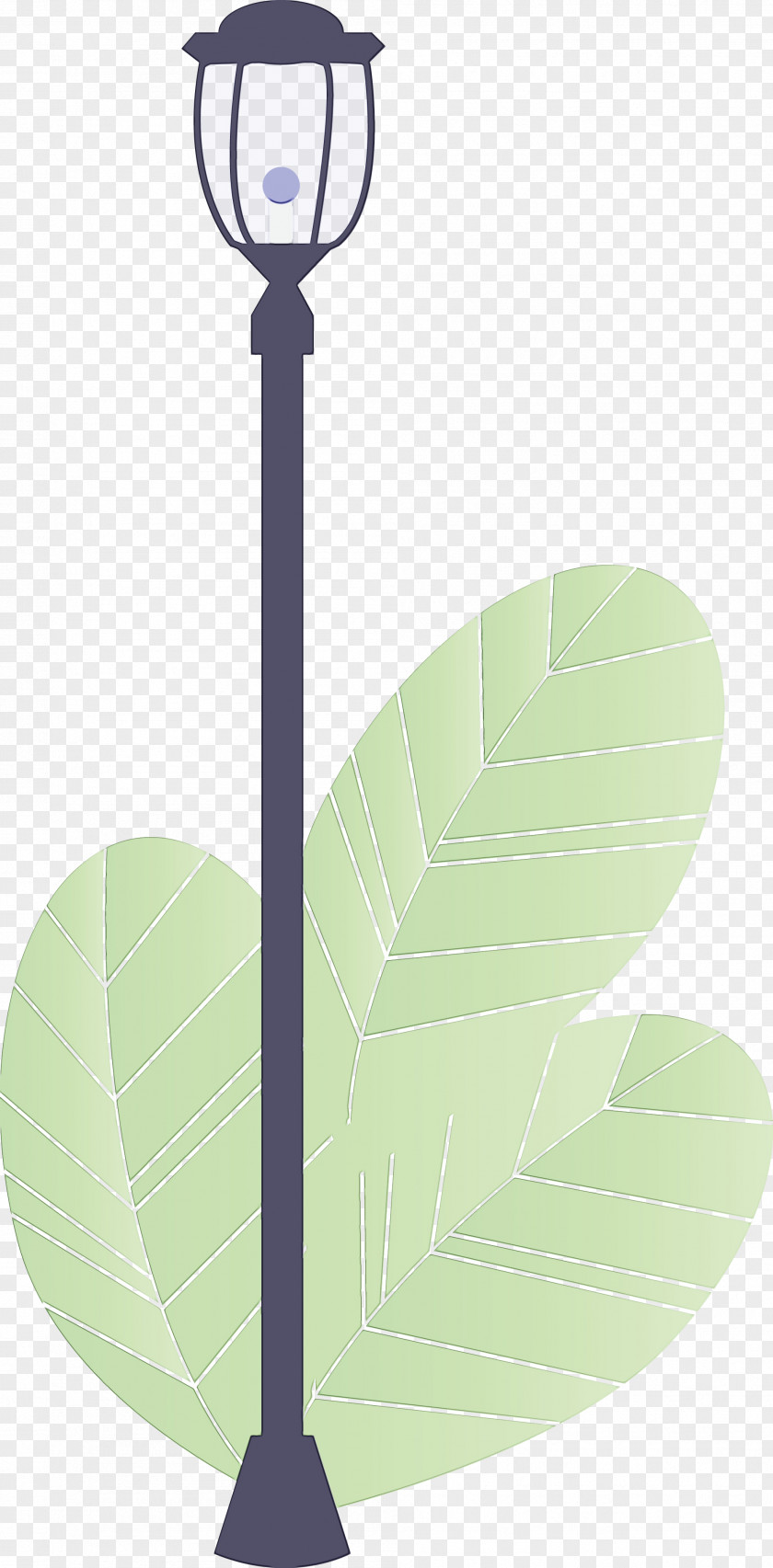 Leaf Green Line Plant Tree PNG