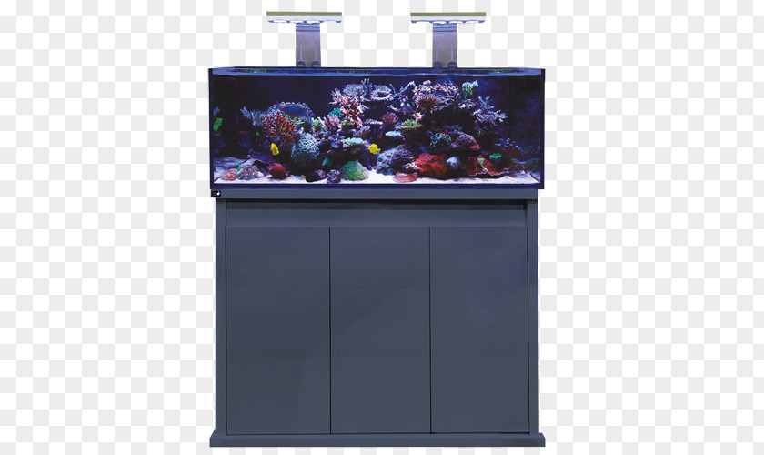 Reef Aquarium Filters Fishkeeping Koi PNG