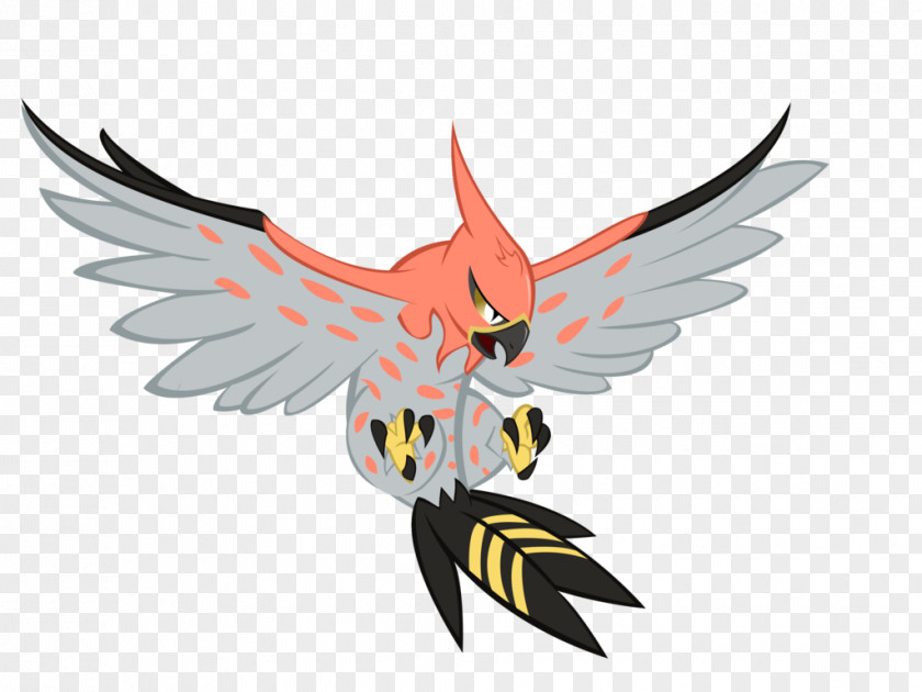 Bird Of Prey Illustration Legendary Creature Beak PNG