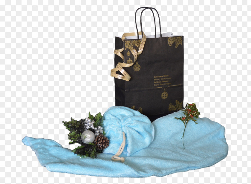Gift Handbag Turquoise PNG