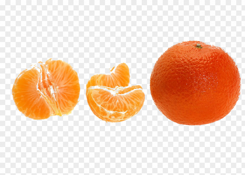 Orange Clementine Mandarin Blood Tangerine Tangelo PNG