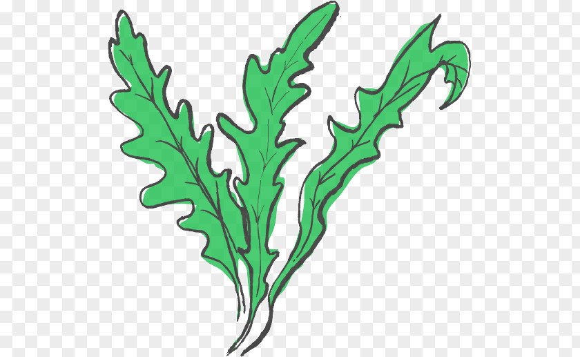 Plant Leaf Clip Art PNG