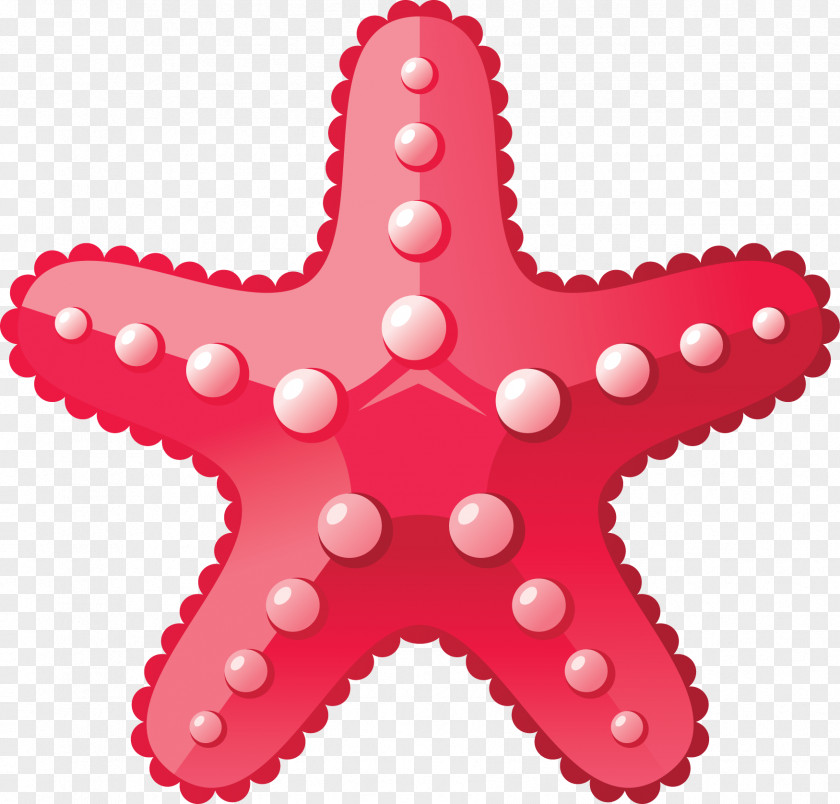 Starfish Deep Sea Creature Ocean Aquatic Animal PNG