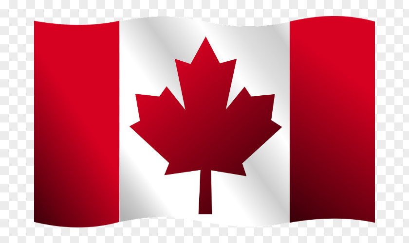 Canadian Flag Of Canada Vector Graphics Clip Art PNG