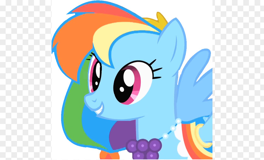 Dunce Cap Pics Rainbow Dash Pinkie Pie Rarity Applejack Twilight Sparkle PNG