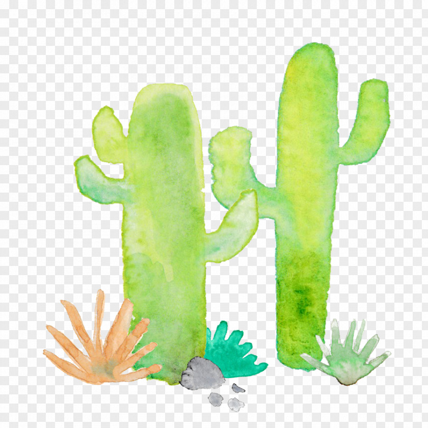 Green Cactus Cactaceae Thorns, Spines, And Prickles Euclidean Vector PNG