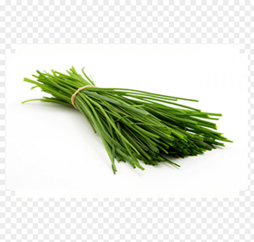 Onion Garlic Chives Scallion Green Herb PNG