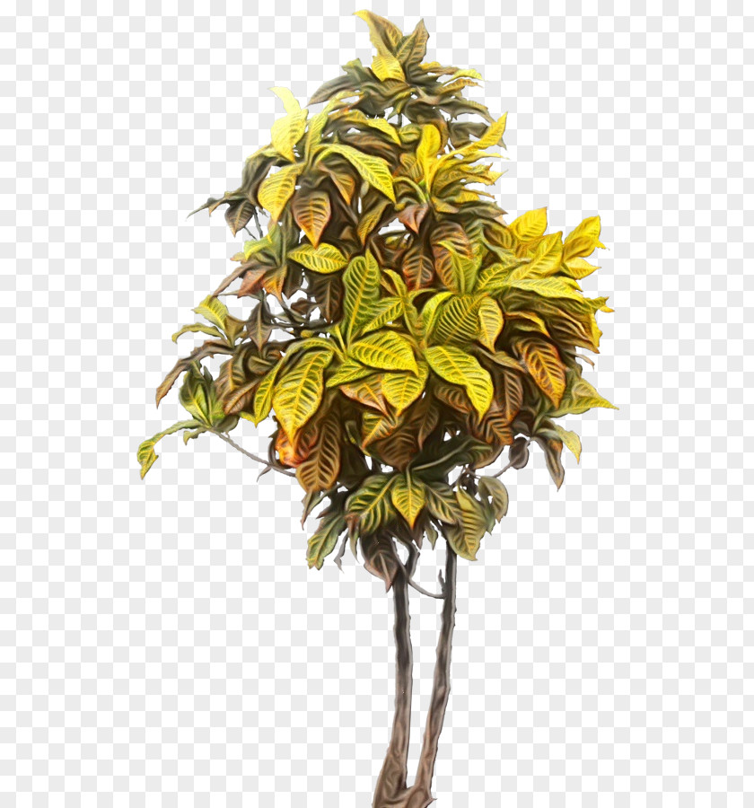 Plant Stem Leaf Watercolor Flower Background PNG