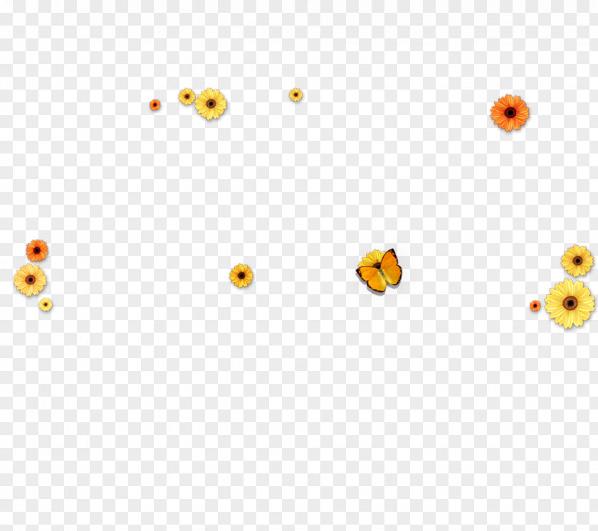 Sunflower Flowers Butterflies Floating Material Yellow Area Pattern PNG