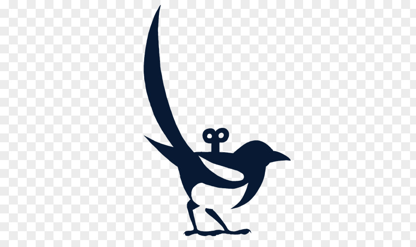 Bird Animated Film Cartoon Beak PNG