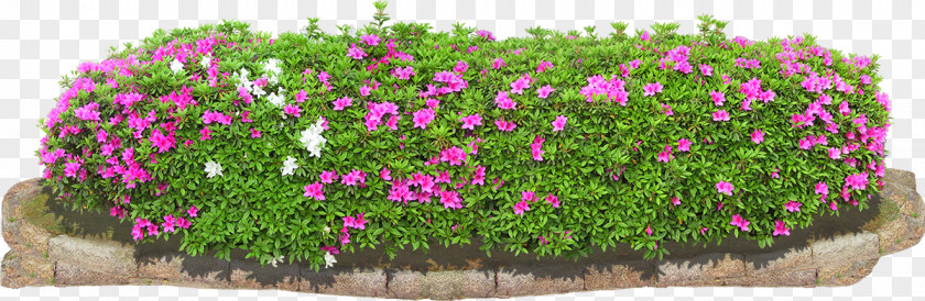 Flower Bed Image Shrub Tree PNG