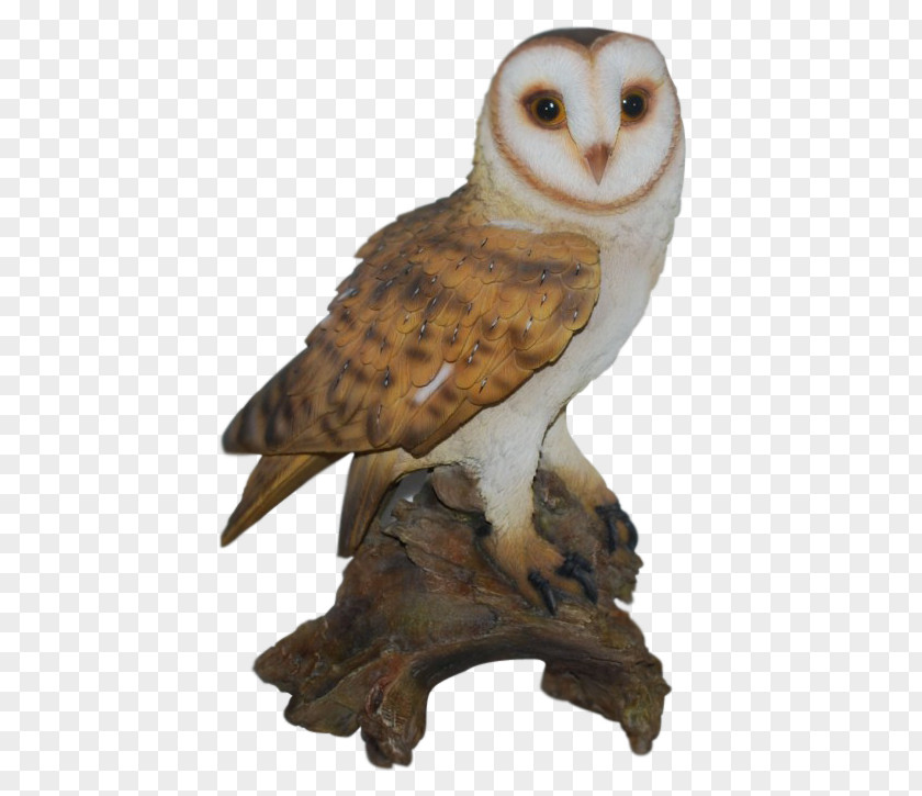 Owl Tawny Bird Barn Ornament PNG