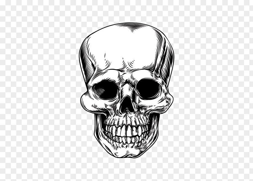 Skull Drawing Woodcut Royalty-free PNG